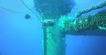 ROV inspects coral on structure.